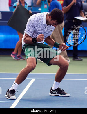 Mason, Ohio, USA. 19 août 2018 : Novak Djokovic (SRB) célèbre sa victoire sur Roger Federer (SUI) à la région du sud-ouest de l'ouvrir à Mason, Ohio, USA. Brent Clark/Alamy Live News Banque D'Images