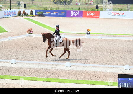 Jakarta, Indonésie. 20e Août, 2018. Vue générale : équipe de dressage équestre au Parc équestre international de Jakarta au cours de la 2018 Jeux Asiatiques Palembang Jakarta à Jakarta, Indonésie . Credit : Naoki Nishimura/AFLO SPORT/Alamy Live News Banque D'Images