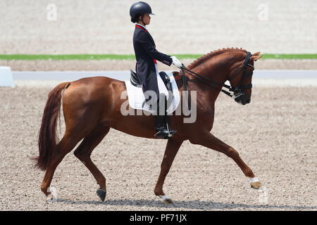 Jakarta, Indonésie. 20e Août, 2018. Vue générale : équipe de dressage équestre au Parc équestre international de Jakarta au cours de la 2018 Jeux Asiatiques Palembang Jakarta à Jakarta, Indonésie . Credit : Naoki Nishimura/AFLO SPORT/Alamy Live News Banque D'Images