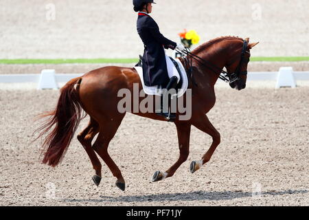 Jakarta, Indonésie. 20e Août, 2018. Vue générale : équipe de dressage équestre au Parc équestre international de Jakarta au cours de la 2018 Jeux Asiatiques Palembang Jakarta à Jakarta, Indonésie . Credit : Naoki Nishimura/AFLO SPORT/Alamy Live News Banque D'Images