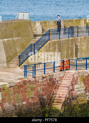 Dunbar, East Lothian, Ecosse, Royaume-Uni, 20 août 2018. UK Soleil dans le port de Dunbar. Un homme jouit de la vue sur la mer depuis le sommet de la mur du port Banque D'Images