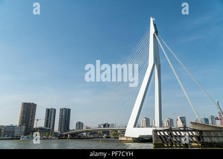 Vue sur le pont Erasmus à Rotterdam, Pays-Bas Banque D'Images