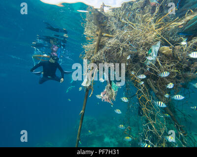 Snorkeler inspection big patch de cordes et de déchets flottant à la surface de la mer. Banque D'Images