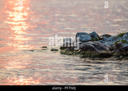 Rochers sur la rive du lac Beaver, Utah USA Banque D'Images