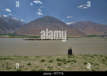 Le passage du bétail dans la rivière Panj Vallée de Wakhan entre l'Afghanistan et le Tadjikistan Banque D'Images