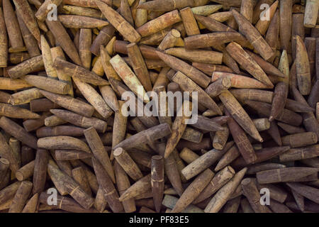 Première Guerre mondiale vieille balles dans Çanakkale, Gallipoli (Turquie) Banque D'Images