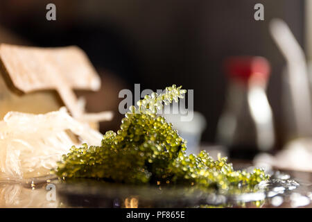 Umi-budou algues ou Caviar vert ou de l'alimentation de la mer algues sea grapes on plate tourné en haute iso Banque D'Images