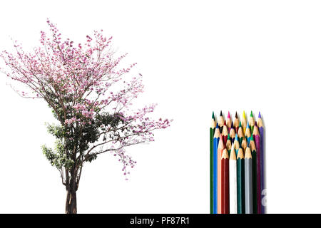 Arbre conceptuel environnement fleur avec color pencils isolated in white background Banque D'Images