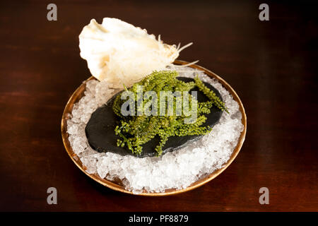 Baguettes avec Umi-budou algues ou raisin de mer caviar vert ( ) les algues alimentaires Banque D'Images