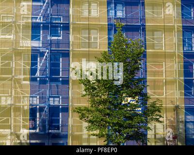 Magnifique arbre en face du bâtiment recouvert de filets jaunes et bleus Banque D'Images