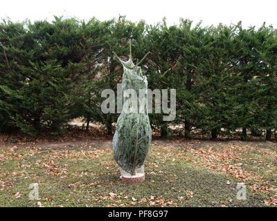 Arbre de Noël entouré de pins dans un filet en plastique au milieu d'un jardin Banque D'Images