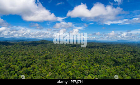Drone aérien photo de pristine, la forêt tropicale luxuriante, à la réserve forestière de Deramakot, Sabah, Bornéo Malaisien Banque D'Images