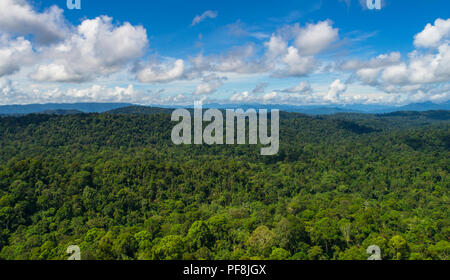 Drone aérien photo de pristine, la forêt tropicale luxuriante, à la réserve forestière de Deramakot, Sabah, Bornéo Malaisien Banque D'Images