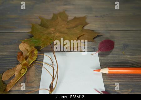 Travaux d'automne conceptuel, la plantation de cet automne encore la vie avec une télévision mise conception d'une note autocollante vierge, crayon et feuilles d'automne sur un bac en bois rustique Banque D'Images