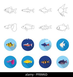 Botia, clown, piranha, cichlid, Hummingbird, guppy, poissons set collection icônes de contours,style plat symbole vecteur illustration stock Illustration de Vecteur
