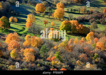 Prealpes d'Azur, Alpes-Maritimes, 06, cote d'Azur, PACA Banque D'Images