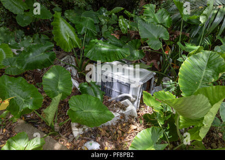 Les appareils électroniques, l'objet de dumping dans la nature ; l'Okinawa, Japon Banque D'Images