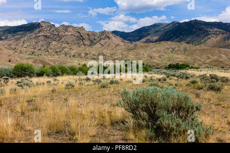 Aride des prairies à graminées et d'armoise flanquée de montagnes rocheuses sur jour lumineux en été dans la région de Cody, Wyoming, USA. Banque D'Images