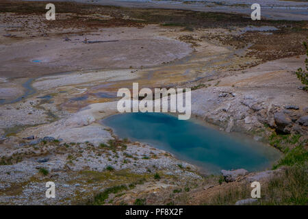 L'eau des bassins de couleur colorée parsèment le paysage du Norris Geyser Basin dans le Parc National de Yellowstone. Banque D'Images