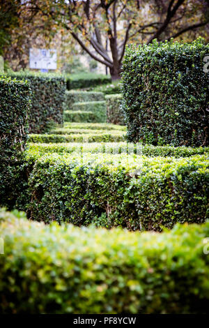 Les buissons à l'entrée de l'Université d'Oxford Botanic Garden fréquemment visité par Lewis Carroll et J.R.R. Tolkien Banque D'Images