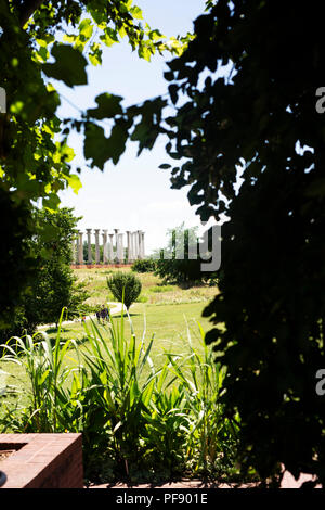 Vue du Capitole à l'Arboretum National des colonnes à Washington, DC. Banque D'Images