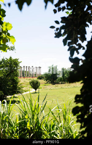 Vue du Capitole à l'Arboretum National des colonnes à Washington, DC. Banque D'Images