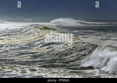 Les grandes vagues de tempête approchant la côte portugaise Banque D'Images