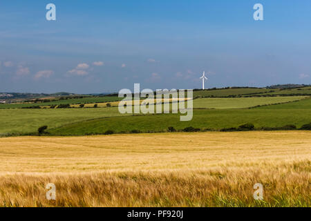 Champ de blé et des champs verts avec wind turbine in distance Banque D'Images