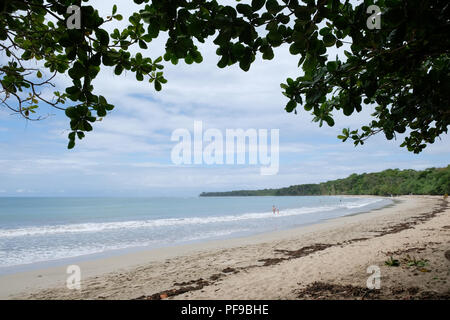 Plage agréable et calme dans le parc de Cahuita Banque D'Images