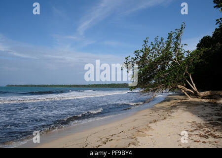 Belle et calme Plage de parc national de Cahuita Banque D'Images