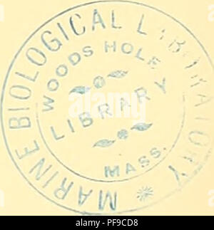 L'expédition Deutsche Südpolar (1901-1903), dirigée par Erich von Drygalski, était une expédition scientifique en Antarctique à bord du navire de recherche Gauss. La mission a contribué de manière significative à la recherche polaire, en étudiant la géographie et les sciences naturelles de la région. Banque D'Images