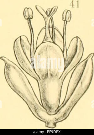 L'expédition Deutsche Südpolar (1901-1903), dirigée par Erich von Drygalski, était une expédition scientifique allemande en Antarctique à bord du navire Gauss. La mission était axée sur l'exploration géographique et la recherche scientifique dans la région de l'Antarctique. Banque D'Images
