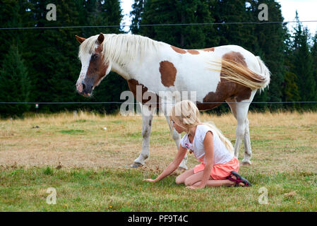 La fille assise sur l'herbe de pâturage et en observant l'on meadow Banque D'Images