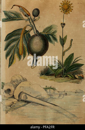 Ce dictionnaire offre des descriptions détaillées de l'histoire naturelle et des phénomènes, illustrées par diverses figures et diagrammes pour améliorer la compréhension. Il explore les caractéristiques des plantes, des animaux et des occurrences naturelles. Banque D'Images