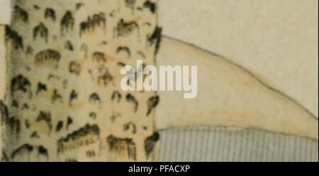 Ce travail botanique illustre et décrit les champignons d'Allemagne, offrant des représentations détaillées de diverses espèces, y compris leur apparence et leur classification. Il contribue à l'étude de la flore allemande, en se concentrant sur les champignons. Banque D'Images