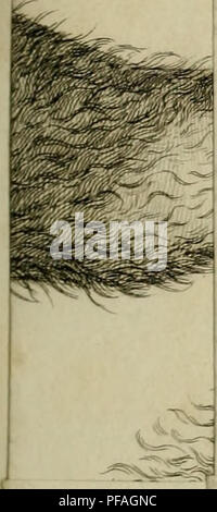 . Deutsches Archiv für die Physiologie. . Veuillez noter que ces images sont extraites de la page numérisée des images qui peuvent avoir été retouchées numériquement pour plus de lisibilité - coloration et l'aspect de ces illustrations ne peut pas parfaitement ressembler à l'œuvre originale.. Halle Banque D'Images