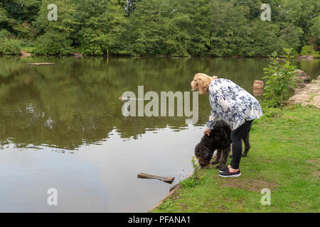 Blonde mature dame se trouve aux côtés du lac à trois soeurs la réserve naturelle locale, trois Sœurs Road, Ashton-In-Makerfield, Wigan avec son black Banque D'Images