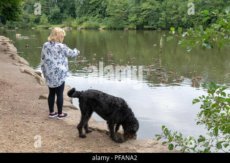 Blonde mature dame se trouve aux côtés du lac à trois soeurs la réserve naturelle locale, trois Sœurs Road, Ashton-In-Makerfield, Wigan avec son black Banque D'Images