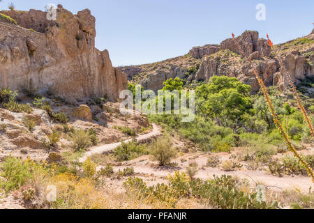 Vue d'un sentier de randonnée à Boyce Thompson Arboretum, Arizona Banque D'Images