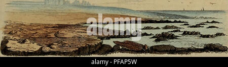 Dictionnaire pittoresque d'histoire naturelle et des phénomènes de la nature, de Félix-Edouard Guérin-Méneville, paru à Paris en 1839. Ce dictionnaire complet d'histoire naturelle explore divers aspects du monde naturel, mettant en valeur à la fois les phénomènes et les espèces. Il offre une vue détaillée de la flore, de la faune et des diverses occurrences naturelles telles qu'elles ont été comprises au début du XIXe siècle. Banque D'Images