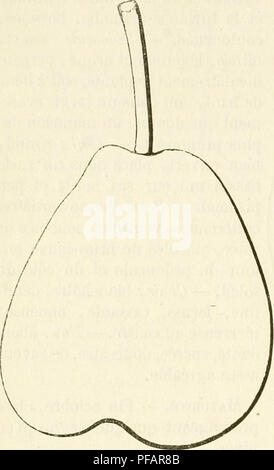 Ce dictionnaire de pomologie en langue française contient l'histoire, les descriptions et les illustrations des variétés de fruits anciennes et modernes. Il fournit des informations détaillées sur la culture de fruits bien connus et largement cultivés, tels que les poires, et leurs arbres respectifs, y compris des espèces comme Beurré de Koninck, offrant un aperçu complet de la culture fruitière. Banque D'Images