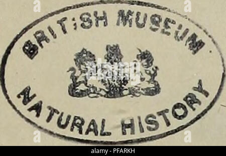 Ce dictionnaire pictural sur l'histoire naturelle et les phénomènes explore divers aspects du monde naturel, offrant un compte rendu détaillé des espèces familières et exotiques, des phénomènes et des processus environnementaux. Le travail fournit une riche référence visuelle et descriptive pour les étudiants et les chercheurs en sciences naturelles. Banque D'Images