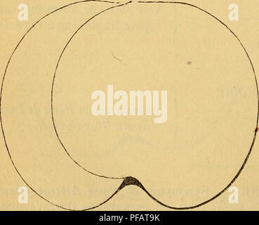 Ce dictionnaire de pomologie fournit des descriptions détaillées des variétés de fruits anciennes et modernes, y compris leur histoire, leurs caractéristiques et leurs illustrations. Il sert de guide complet pour la culture fruitière et l'identification des différentes espèces fruitières, en particulier celles cultivées en Europe et en Amérique du Nord. Banque D'Images