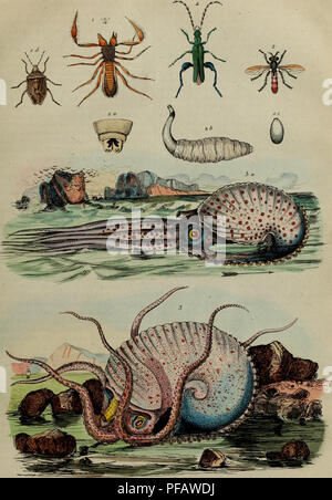 Ce dictionnaire offre des descriptions détaillées des phénomènes de l'histoire naturelle, y compris les classifications animales, végétales et minérales. Il explore divers événements naturels, fournissant des informations précieuses sur la compréhension scientifique du XIXe siècle. Banque D'Images