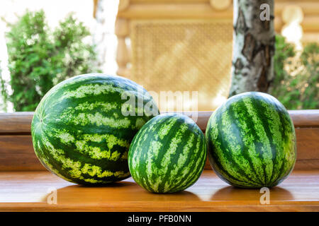 Ensemble de trois pastèques mûres biologique vert sur la table en bois à l'extérieur. Différentes tailles de petits fruits savoureux prêt à être coupé et servi. Manger sucré sain Banque D'Images