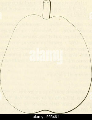 Ce dictionnaire de pomologie comprend des descriptions et des illustrations de variétés de fruits anciennes et modernes. Il fournit des données botaniques détaillées sur les fruits, en se concentrant sur des caractéristiques telles que la taille, la forme et les temps de maturation. Ce guide complet est précieux pour ceux qui s'intéressent à la culture des fruits et à l'histoire de diverses espèces fruitières. Banque D'Images