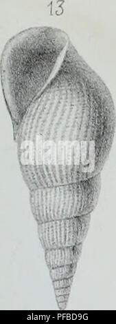 Cette *Description des animaux sans Vertèbres* de G. P. Deshayes propose une revue complète des espèces d’invertébrés découvertes dans le bassin parisien. Le travail comprend des comptes rendus détaillés des mollusques et des espèces fossiles, contribuant à la compréhension de la faune préhistorique parisienne et de leurs contextes environnementaux. Banque D'Images