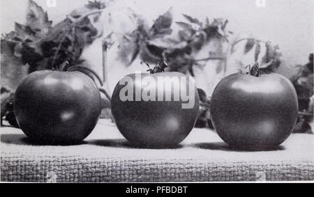 Ce catalogue fournit des descriptions détaillées des légumes pouvant être mis en conserve et conservés, y compris les fruits et légumes surgelés, et répertorie les équipements et fournitures connexes pour ces processus. Banque D'Images