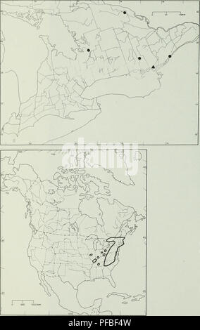 . Description et analyse de la flore vasculaire de la Cataraqui marais.. La flore des marais ; Flore ; plantes aquatiques ; botanique ; botanique ; flore des marais. - 62 - Figure 8. Distribution des Juncus secundus (une face) de pointe en Ontario (ci-dessus) et en Amérique du Nord (ci-dessous). La zone de marais Cataraqui est indiqué par un triangle. La partie supérieure de la carte est basée sur des spécimens d'herbier (points). La carte est basée sur les informations recueillies pour la 4e édition de l'atlas des plantes vasculaires rares de l'Ontario.. Veuillez noter que ces images sont extraites de la page numérisée des images qui peuvent avoir été digitall Banque D'Images