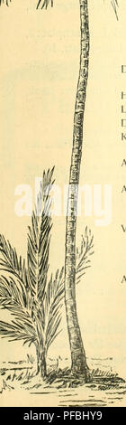 *Der Tropenpflanzer* est une revue dédiée à l'agriculture tropicale et aux cultures, couvrant des sujets tels que la production de guayule, le copal d'Afrique de l'est et la farine de banane, avec un accent sur l'agriculture durable dans les régions tropicales. Banque D'Images